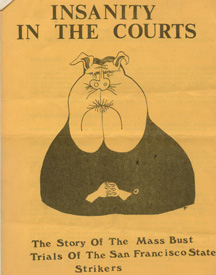 Insanity in the Courts - Mass Arrest Pamphlet